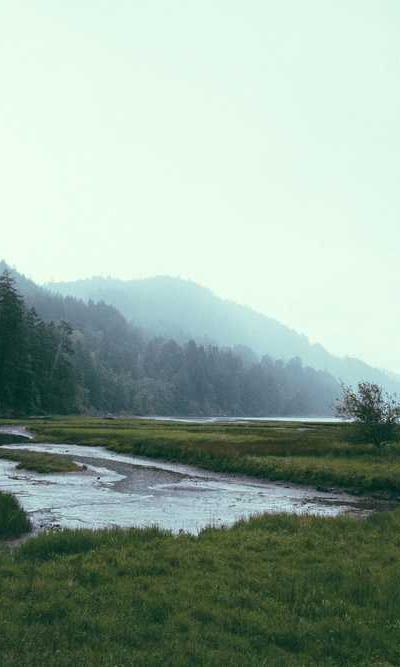 Nature Photography